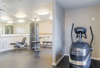 A gym with a rowing machine, a bench, and a weight machine.